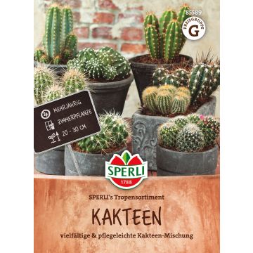 SPERLI KAKTUSSEOS ERI LAJEJA ANN