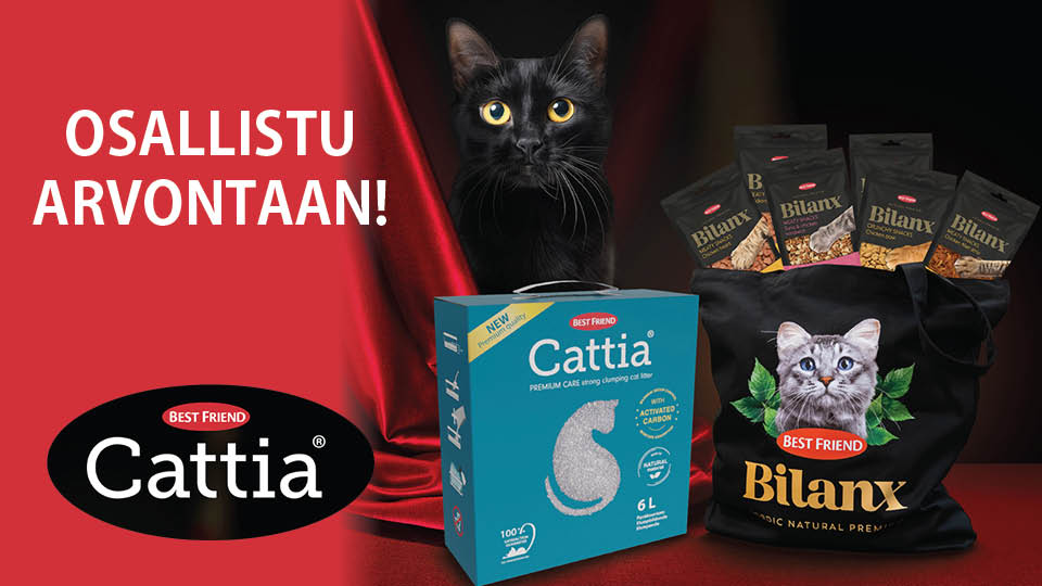 Osallistu Cattia-arvontaan!